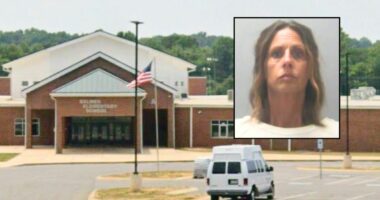 Teacher dragged nonverbal student, 9, across rug: Cops