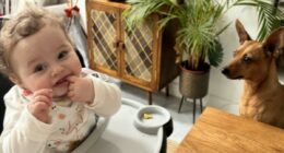 Teacher thought about suffocating 'murdered' baby boy, court hears