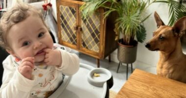 Teacher thought about suffocating 'murdered' baby boy, court hears