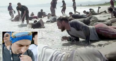 Tech workers ate dead tarantulas, crawled through fire ants in corporate retreat from hell