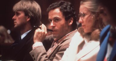 Ted Bundy victims: New DNA testing links unsolved death of Utah teen Laura Ann Aime to serial killer, sheriff says