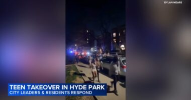Teen takeover Chicago video: Girl arrested, cars vandalized during Hyde Park takeover; Police Supt. Larry Snelling weighs in