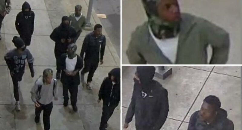 Temple University student viciously beaten by teen mob