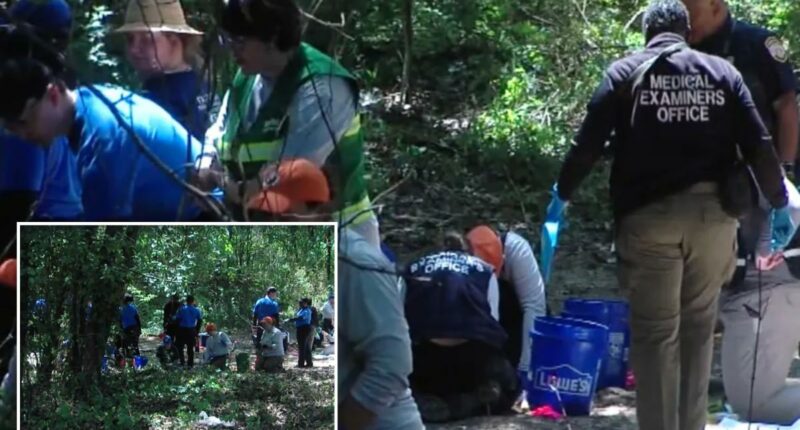 Tennessee human remains belonging to multiple children discovered in Memphis woods