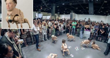 Terrifying Elon Musk bot on display in San Francisco art center