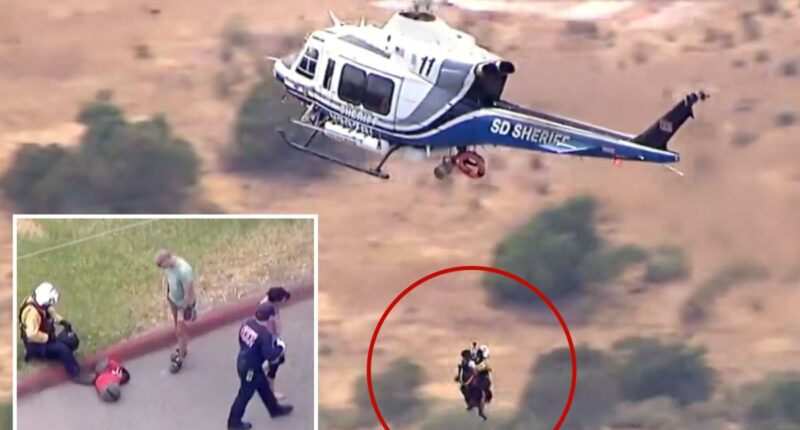 Terrifying moment rock climbers get trapped on 100ft ledge in San Diego