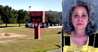 Texas teacher charged after alleged student assault 'hoax' causes lockdown