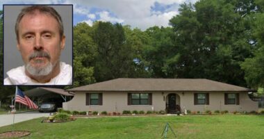 'That one is uncomfortable': Man has no problem admitting to slaughtering mother but complains about his handcuffs, cops say