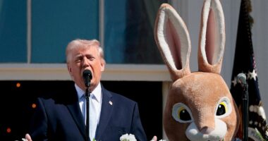 The Democrats' audacious plot to force Trump into a mental fitness test amid signs of 'dementia'