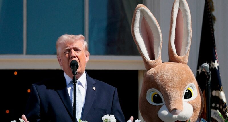 The Democrats' audacious plot to force Trump into a mental fitness test amid signs of 'dementia'