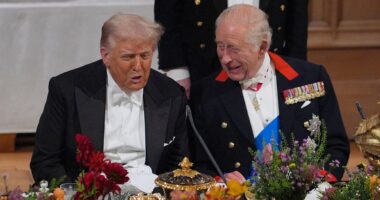 The Harry and Meghan drama threatening King Charles' US state visit