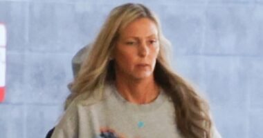 The Mike Vrabel marriage summit bombshells amid Dianna Russini affair scandal: New photos show his wife 'broken' after showdown... as insiders leak her 'tough' ultimatum