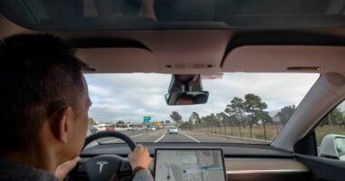 The Netherlands is the first European country to approve Tesla’s supervised Full Self-Driving