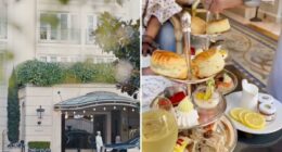 The Roof Garden restaurant in Beverly Hills closes due to vermin infestation