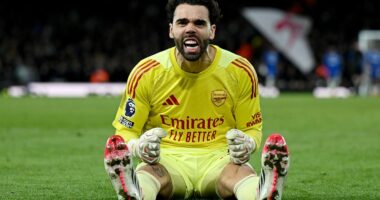 The man with the shovel-sized hands, a reconstructed face and lightning reflexes: How David Raya can resurrect Arsenal's season after back-to-back cup defeats