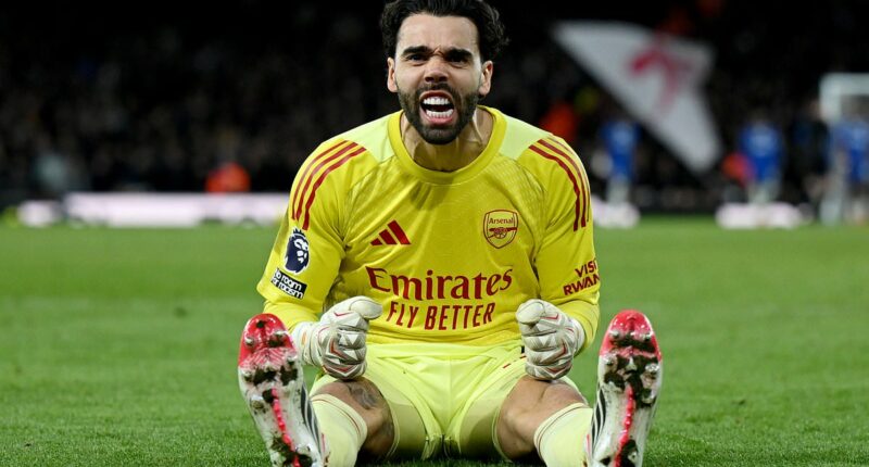 The man with the shovel-sized hands, a reconstructed face and lightning reflexes: How David Raya can resurrect Arsenal's season after back-to-back cup defeats