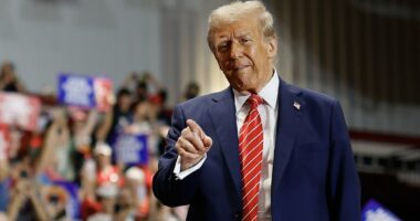 The stunning gender divide between Trump and Harris in the 2024 election is laid bare in new poll