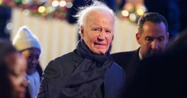 The three words Biden will be remembered by are 'old', 'falling' and 'inflation', according to damning poll