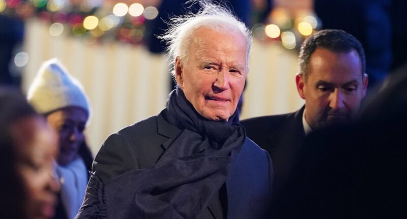 The three words Biden will be remembered by are 'old', 'falling' and 'inflation', according to damning poll