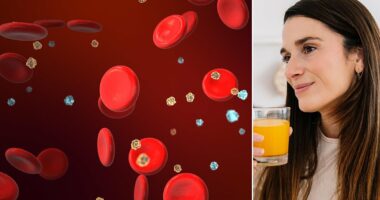 The toxic proteins you've never heard of in everyday foods that are silently ageing you and raising your risk of cancer and dementia... and how your AIRFRYER could hold the key to a longer life