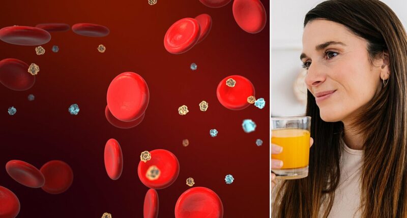 The toxic proteins you've never heard of in everyday foods that are silently ageing you and raising your risk of cancer and dementia... and how your AIRFRYER could hold the key to a longer life