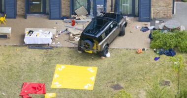 The wealthy Wimbledon crash driver who mowed down two little girls