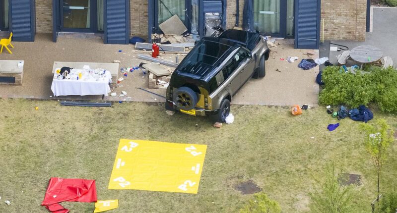 The wealthy Wimbledon crash driver who mowed down two little girls