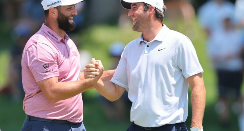 Celebrity Net Worth logo