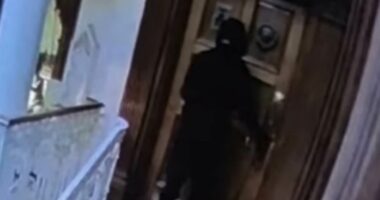 Thieves attack Rent a Car heiress, 68, at her Hollywood Hills mansion