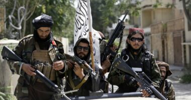 Thousands of loyal Afghans 'abandoned' as ministers end rescue mission