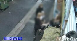 Geelong alleyway brawl