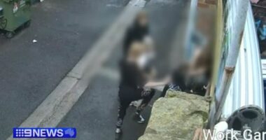 Geelong alleyway brawl