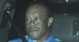 Tiger Woods breaks silence on DUI arrest and reveals he's getting help