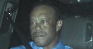 Tiger Woods breaks silence on DUI arrest and reveals he's getting help