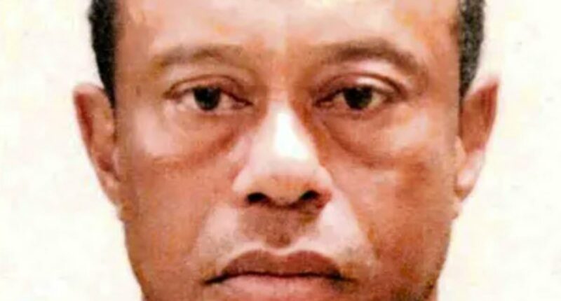 Tiger Woods captured in inmate uniform in newly-released mugshot