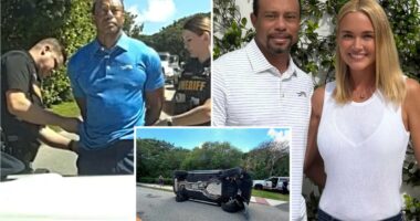 Tiger Woods undergoing 'intense' treatement at Swiss rehab