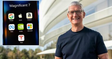 Tim Cook is stepping down from Apple...what's next for the Magnificent Seven?