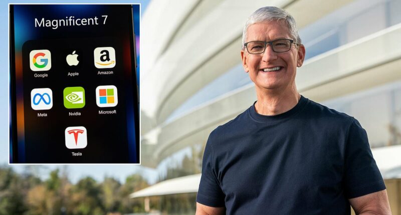 Tim Cook is stepping down from Apple...what's next for the Magnificent Seven?