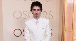 Timothée Chalamet's electric car is towed from his Beverly Hills home