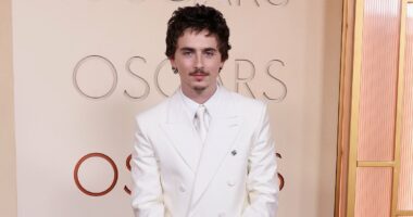 Timothée Chalamet's electric car is towed from his Beverly Hills home
