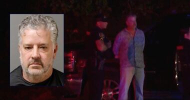 Toddler wandered into road, was killed by drunk driver: Cops