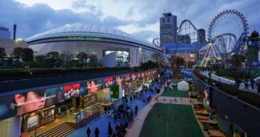 Tokyo theme park worker dies after being trapped inside ride mechanism during routine maintenance