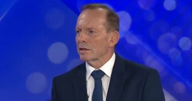 Tony Abbott calls for Albanese to 'do more' in the Middle East
