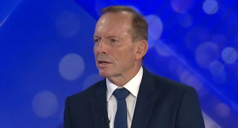 Tony Abbott calls for Albanese to 'do more' in the Middle East