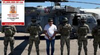 Top Jalisco cartel leader 'El Jardinero' arrested in Mexico