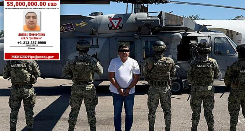Top Jalisco cartel leader 'El Jardinero' arrested in Mexico