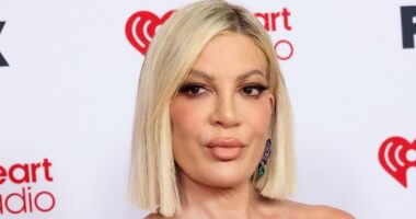 Tori Spelling and four of her children involved in horror car crash