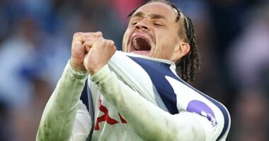 Tottenham are hurtling towards the Championship: Fear of the drop has spread a paralysis over Spurs stars, writes OLIVER HOLT, as traumatic season takes another twist