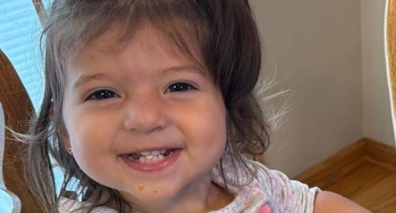 Tragedy of little girl crushed by car seat could upend the industry