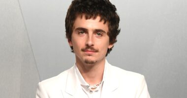 Tragic Details About Timothée Chalamet